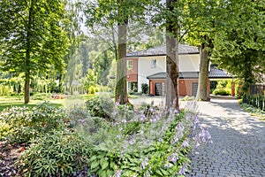 Close-up of bushes next to a road to a house surrounded by trees