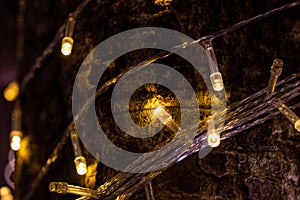 Close up cable of string led lights on tree in the garden at night time used for decorating for beauty According to important