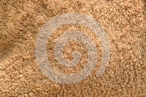 Close-up Camel fur - natural texture