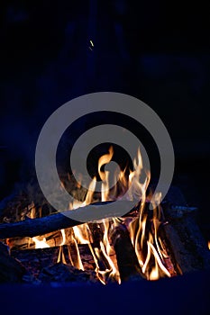 Close-up of a campfire. Fire burning brightly with a big yellow and orange flame in the dark. Firewood and logs burning to ember