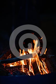 Close-up of a campfire. Fire burning brightly with a big yellow and orange flame in the dark. Firewood and logs burning to ember