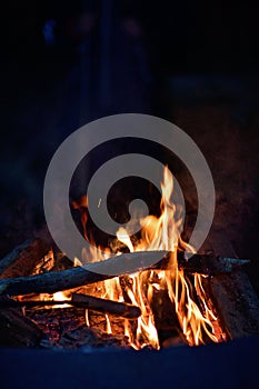 Close-up of a campfire. Fire burning brightly with a big yellow and orange flame in the dark. Firewood and logs burning to ember