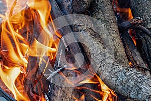 Close Up of Campfire Flames Burning Logs  