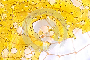 Close up of cannabis oil concentrate aka shatter isolated against white background