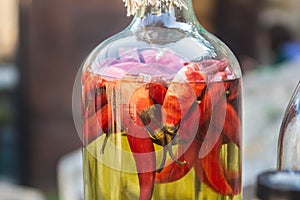 Close up of canned red peppers in a bottle with oil, homemade preserves