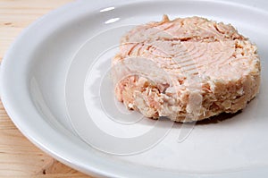 Close up of canned tuna on plate