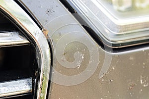 Close-up of car front bumper with many smashed insects. High speed drive