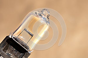 Close-up of a car lamp h1. Close-up view of an incandescent element of a halogen lamp