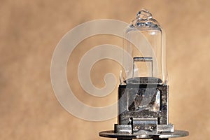 Close-up of a car lamp h1. Close-up view of an incandescent element of a halogen lamp