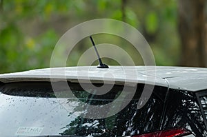Close up car radio antenna