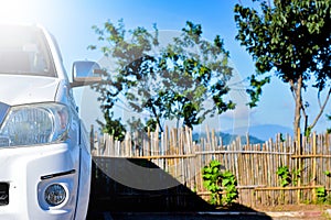 Close-up of car with sport and modern design parked on stone parking by the tree with soft sunlight. Environmentally friendly