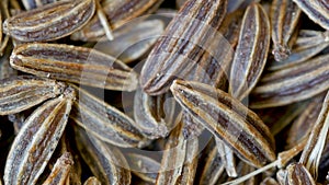 Close-up of Caraway Seeds, Carum carvi, Zoom Out