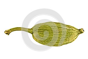 Close up of cardamon pod on white background