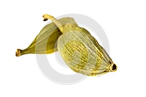 Close up of cardamon pods on white background