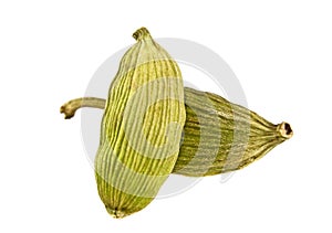 Close up of cardamon pods on white background