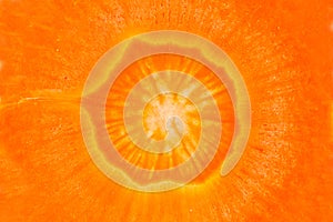 Close up of carrot photo
