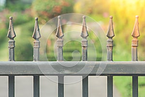 Close up cast iron fence or metal fence at the entrance with green garden and sunlight in the background.