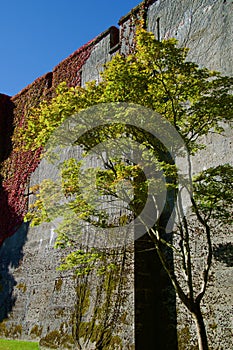 Close up of the castle walls