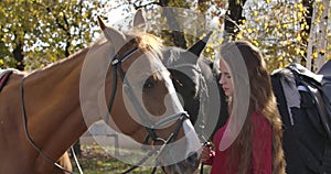 Close-up of Caucasian female equestrian standing with two horses in the autumn forest. Pretty girl with long brown hair