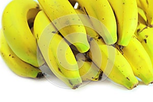 Close up cavendish banana