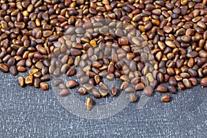 Close up of cedar pine nuts on blackboard background.