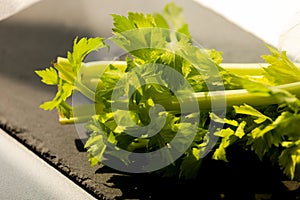 closeup celeri leaves on brown background photo