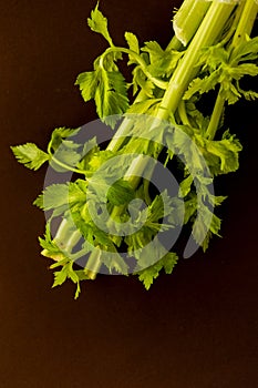 closeup celeri leaves on brown background