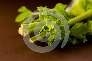 closeup celeri leaves on brown background
