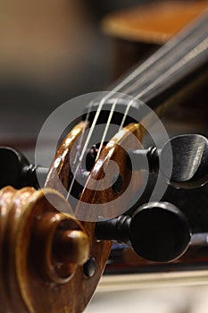 A close-up of a cello pegbox photo