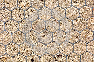 Close-up of a cellular pattern garden sand pathway