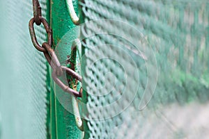 Close up chain locked on green fence gate