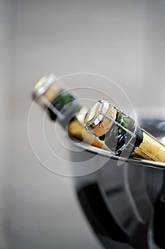 Close up of Champagne bottles