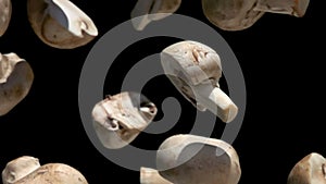 Close-up of the champignon mushroom halves falling down on the black background