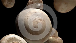 Close-up of the champignon mushrooms falling diagonally on the black background