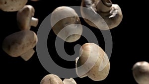 Close-up of the champignon mushrooms falling down on the black background