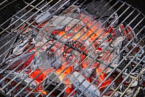 close up of charcoal grill