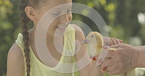 Close-up of charming Caucasian girl stroking yellow duckling in senior female hands. Portrait of happy smiling child