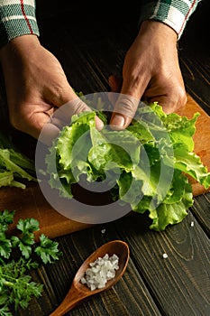 Close-up of chef hands on the kitchen table sorting lettuce leaves for preparing vegetarian food