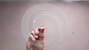 Close-up of the chef`s hand adding spice to the dish. Bottom view. Slow motion