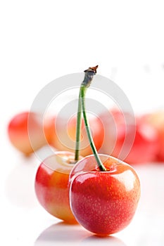Close up of cherrys on white background