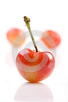 Close up of cherrys on white background