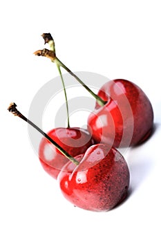 Close up of cherrys on white background