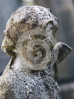 Close up of cherub sculpture photo
