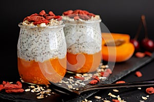 Close up of chia seed pudding with goji berries, smashed fresh apricot and oat meals