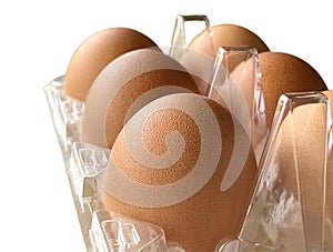 Close up Chicken egg in carton box isolated on white background