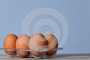 Close up of Chicken Eggs