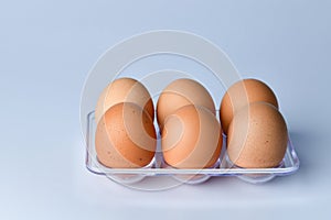 Close up of Chicken Eggs