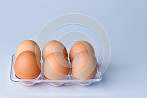 Close up of Chicken Eggs