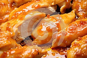close up of chicken texture with sauce glossing over photo