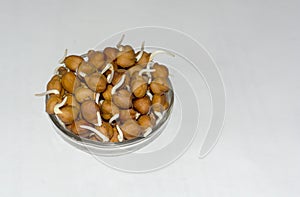 Close up of Chickpeas or bengal gram sprouts on a bowl with white isolated background